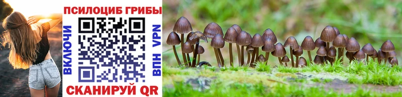 Псилоцибиновые грибы Magic Shrooms  Купить закладки  Лысьва 